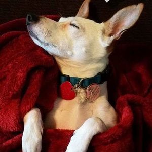 Meet your Posher, Angie